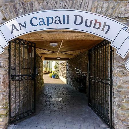 An Capall Dubh B&B Dingle Eksteriør billede