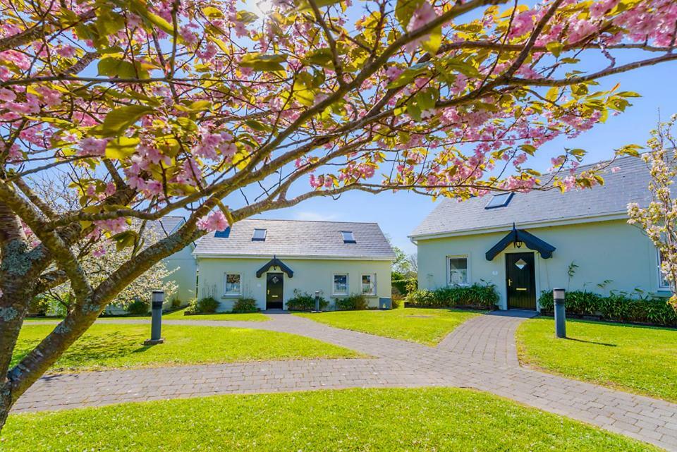 An Capall Dubh B&B Dingle Eksteriør billede