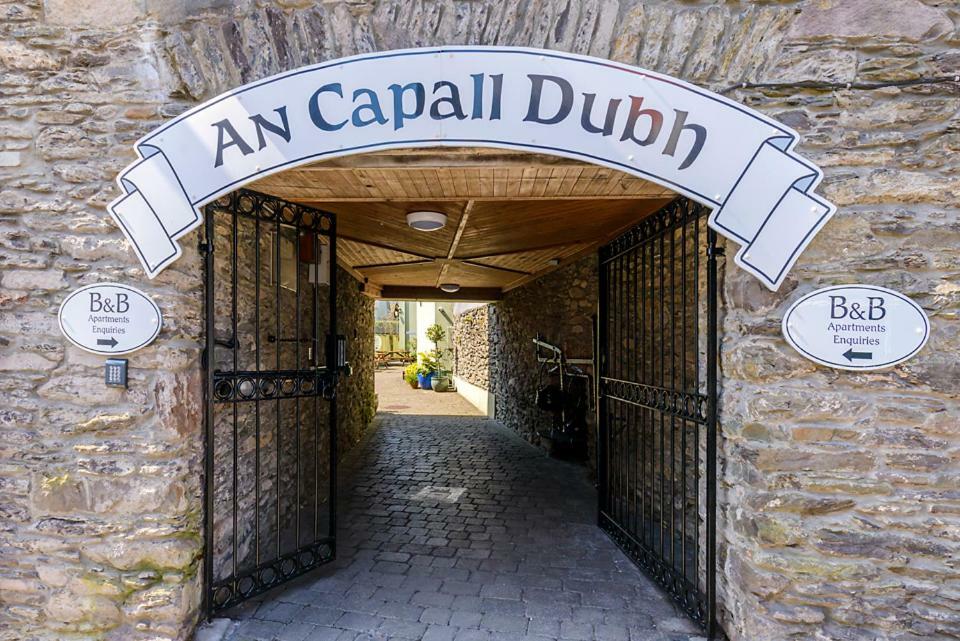 An Capall Dubh B&B Dingle Eksteriør billede
